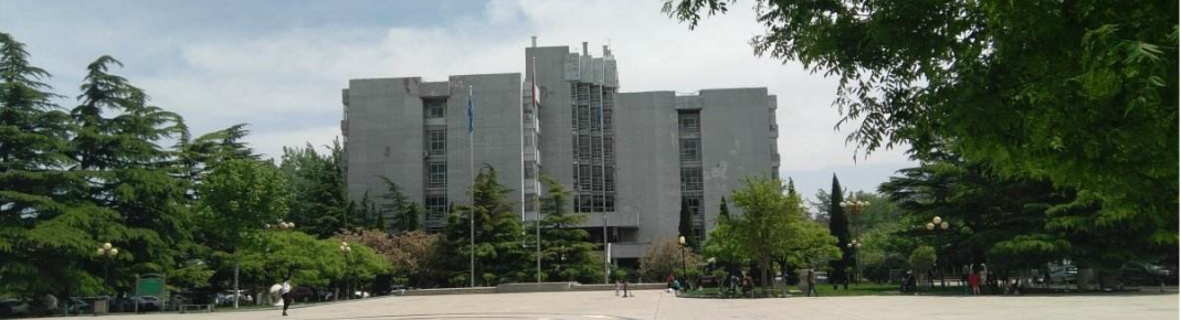 山东财经大学