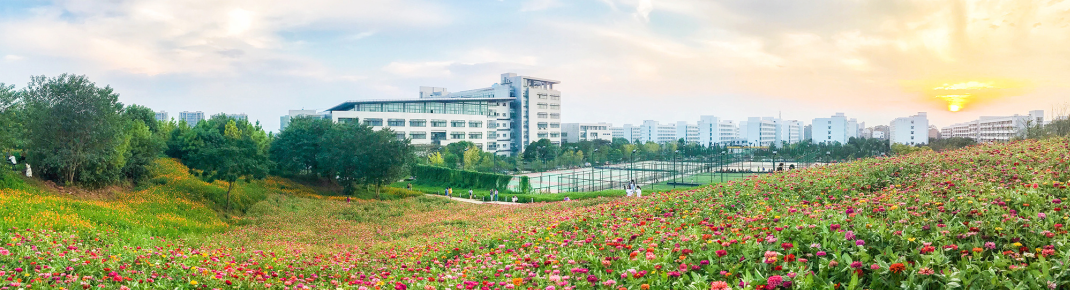 浙江师范大学